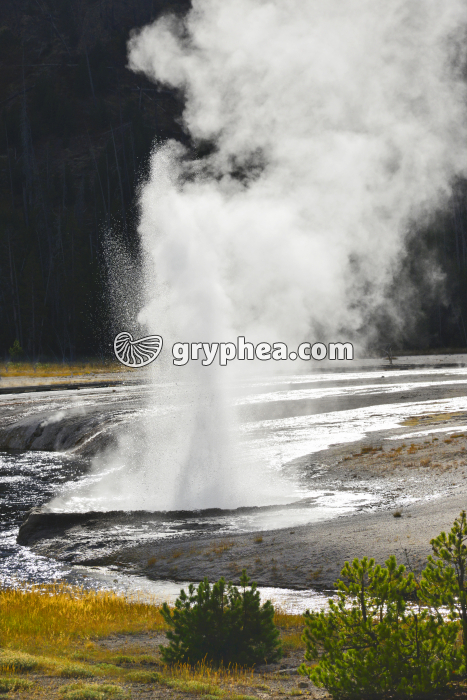 Geyser - Cliff geyser (Yellowstone NP, Wyoming, USA) - gryphea.org